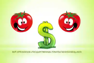 «Государственные» томаты съели $50 млн