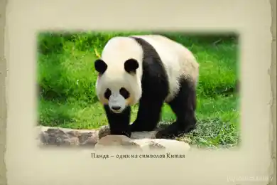 Төрге шығаратын туризм