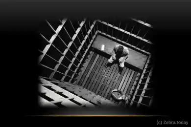 Иллюзия свободы