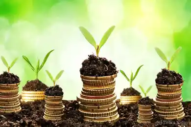 Как привлечь инвестиции