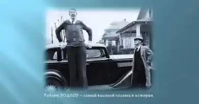 Роберт УОДЛОУ