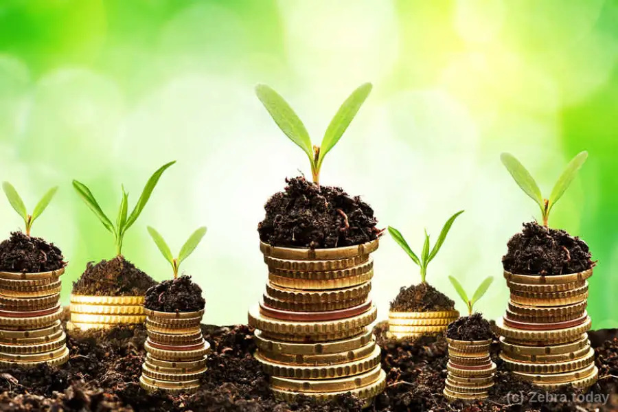 Как привлечь инвестиции